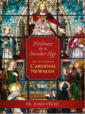 cover image of Holiness In a Secular Age